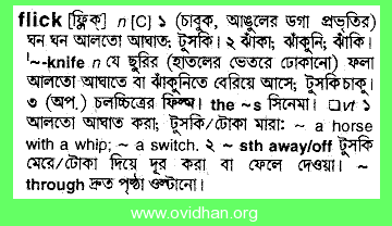 Bangla Meaning of Switch