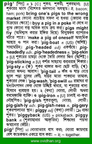 Meaning of wild with pronunciation - English 2 Bangla / English Dictionary