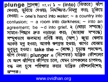 Meaning of plunge with pronunciation - English 2 Bangla / English Dictionary