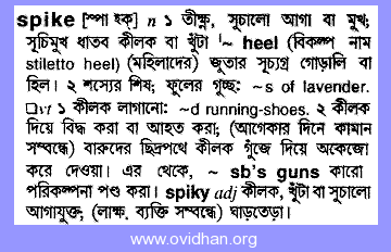Meaning of spike with pronunciation - English 2 Bangla / English Dictionary