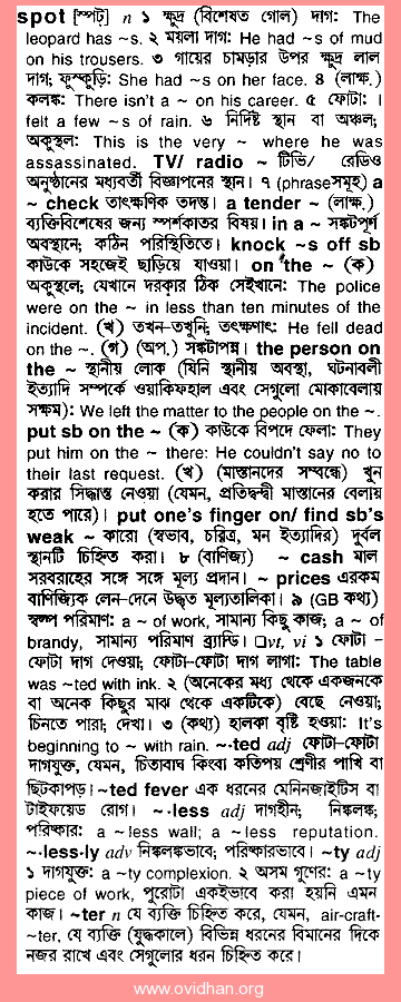 Bangla Meaning of Check