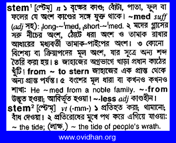 Bangla Meaning of Stem