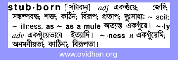 Meaning of stubborn with pronunciation - English 2 Bangla