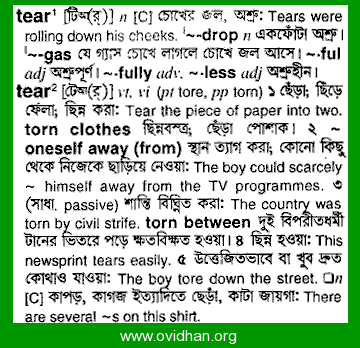 Tear  Meaning of tear 