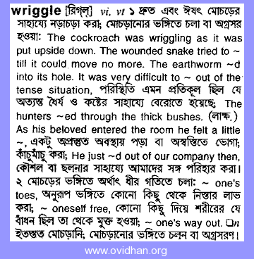 Nur Sir - English Word Bengali Meaning - বাংলা (  Punch,chew,nip,slap,shout,gobble,spit,tickle,whistle,bustle,wink,sneeze,chatter,safe,etc.  )